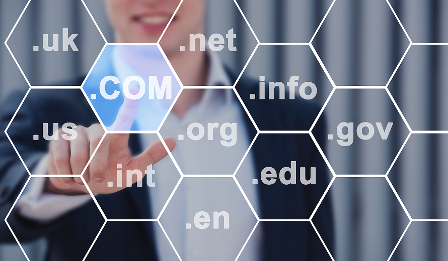 Domain & Web Takibi